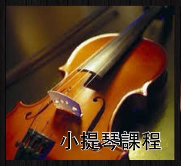 照片3